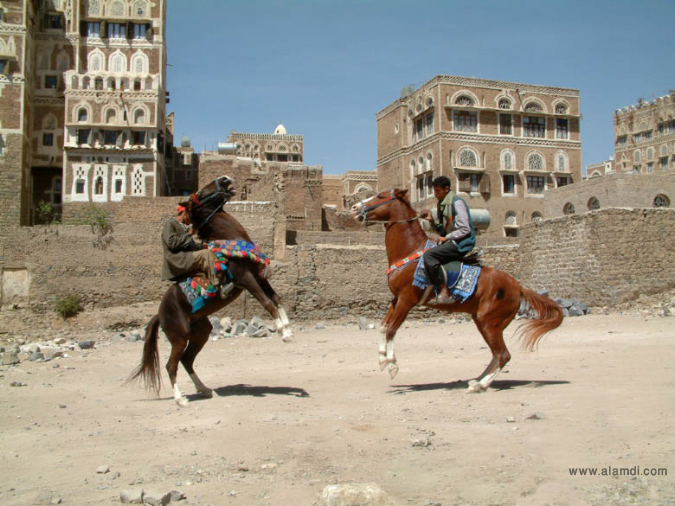 yemen_20100519_1593028604